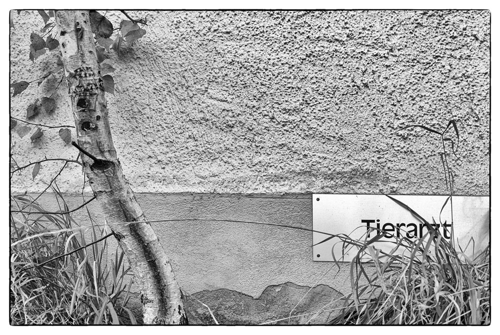 TierDSC 2690