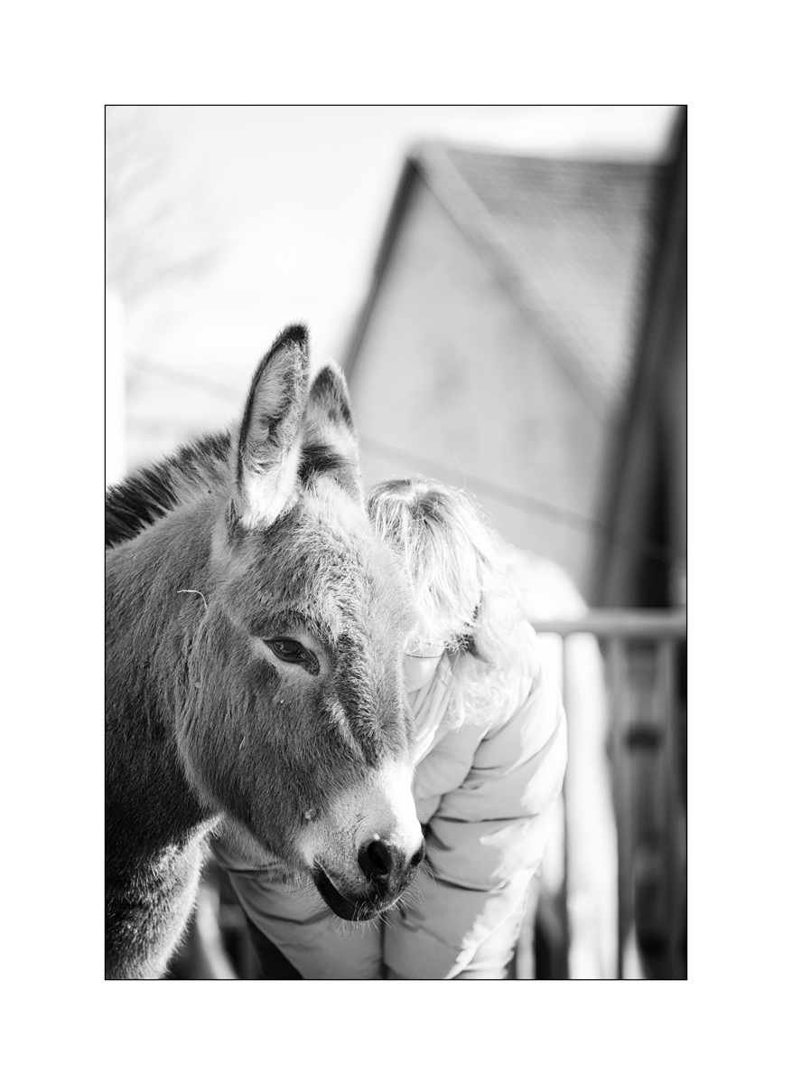 TierDSC_3137.jpg