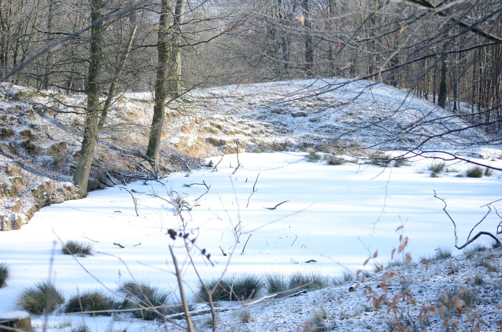 Tiergarten Hildesheim