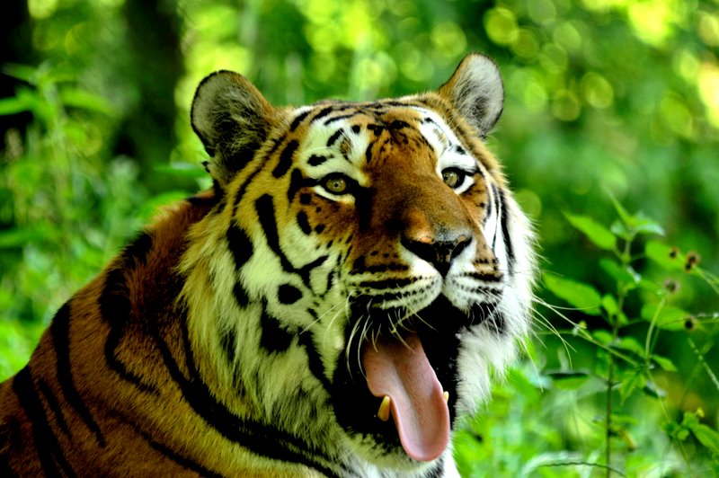 Tierpark 30.6 312
