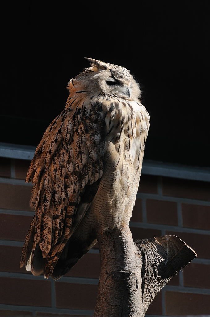 Tierpark Berlin-Friedrichsfelde