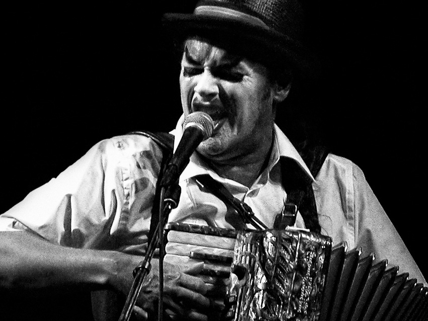 tiger lillies 2