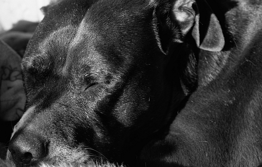 Timba