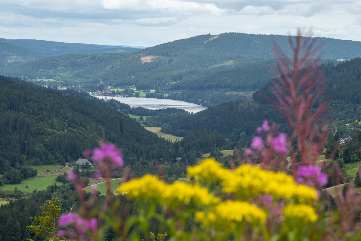 Titisee.jpg