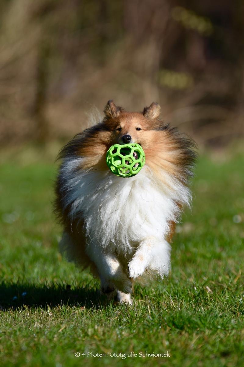 Tjure Frühling 4