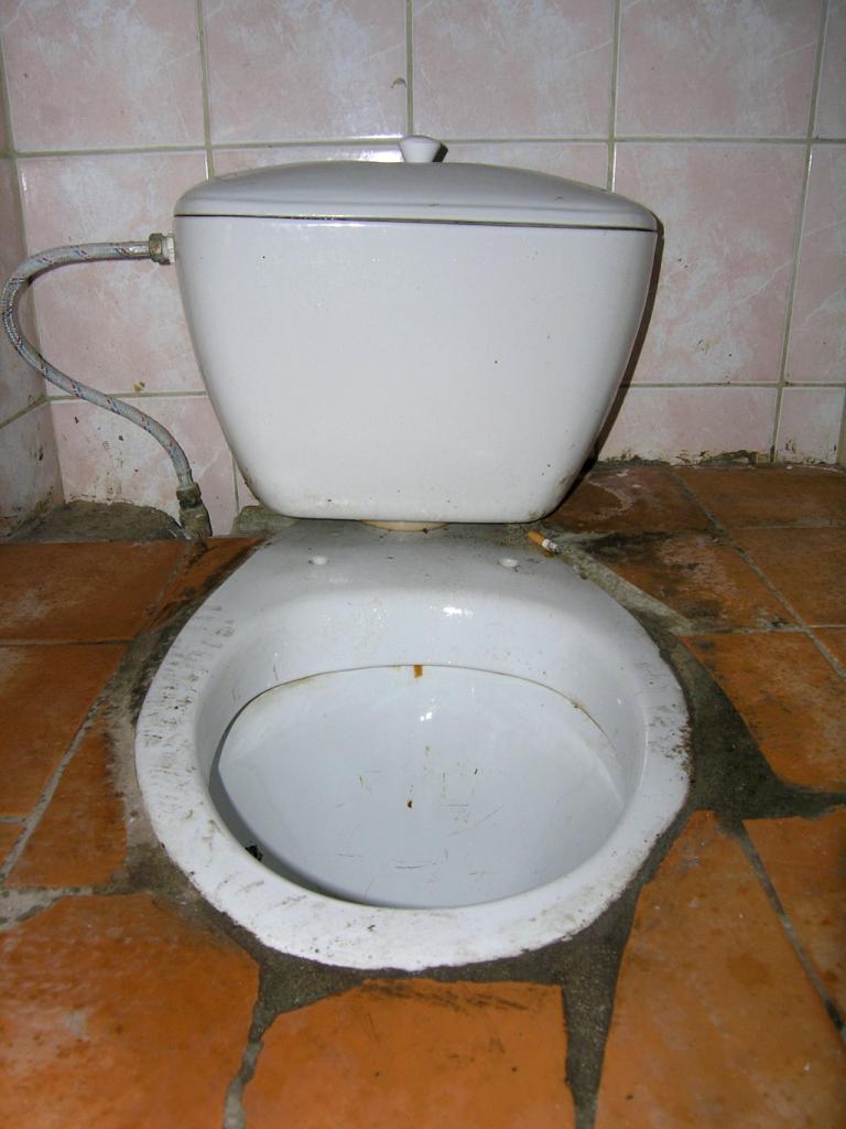 Toilette falsch verstanden