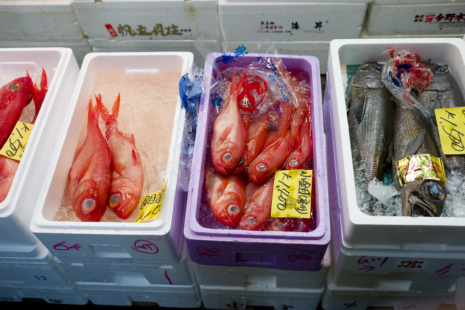 Tokyo 14 23 04 2014 1043762