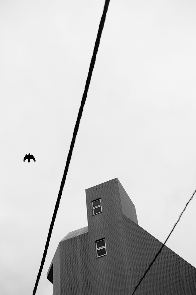Tokyo 14 23 04 2014 1044348