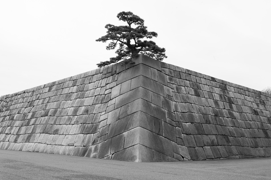 Tokyo 14 23 04 2014 1044959