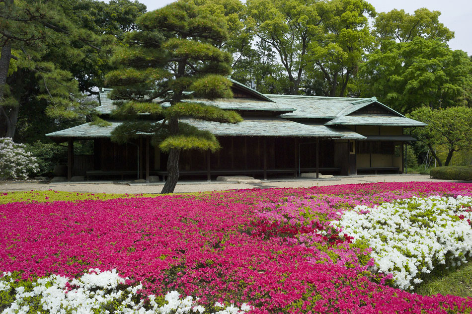 Tokyo 14 23 04 2014 1045027