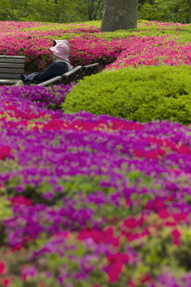 Tokyo 14 23 04 2014 1045036