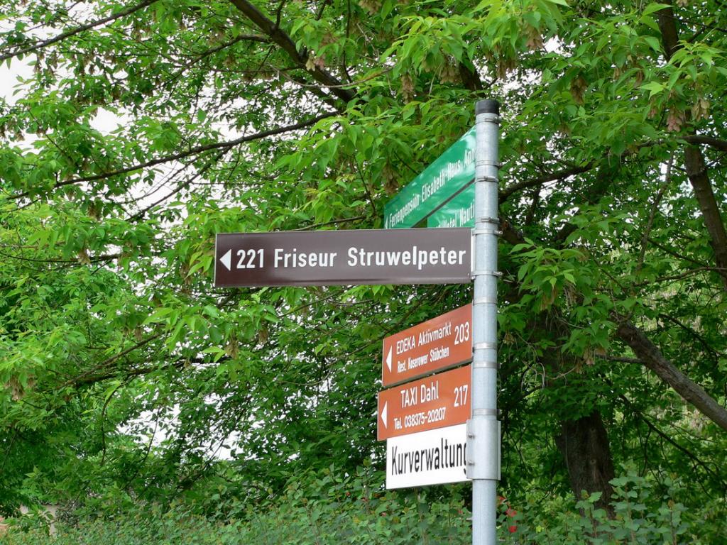 toller wegweiser in trassenheite