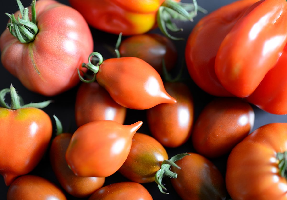 Tomaten 2017
