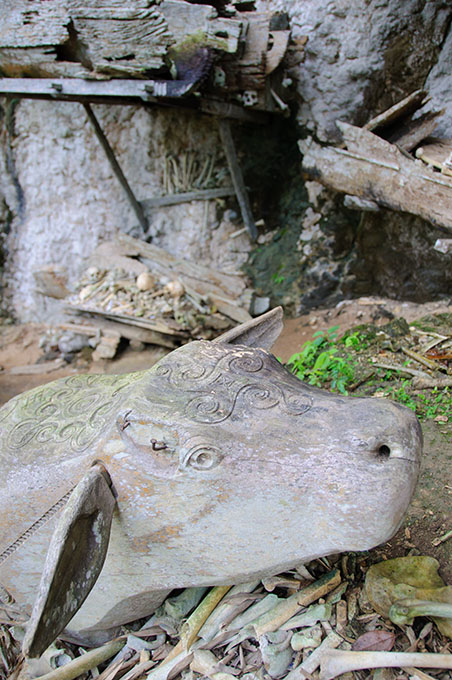 Toraja Grabstätte
