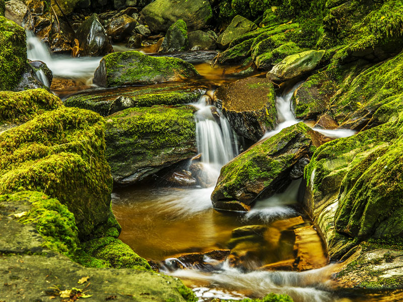 TorcWaterfall - Bach