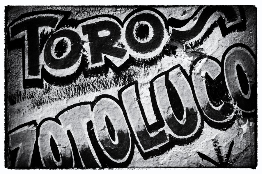Toro Zotoluca