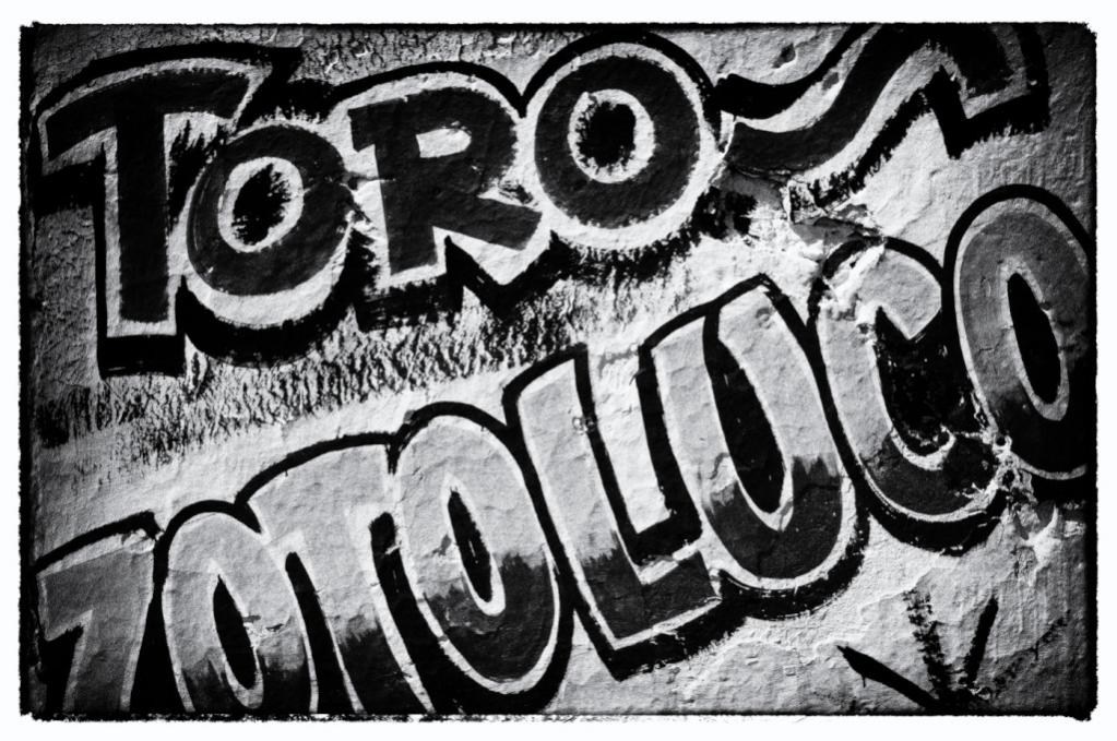 Toro Zotoluco