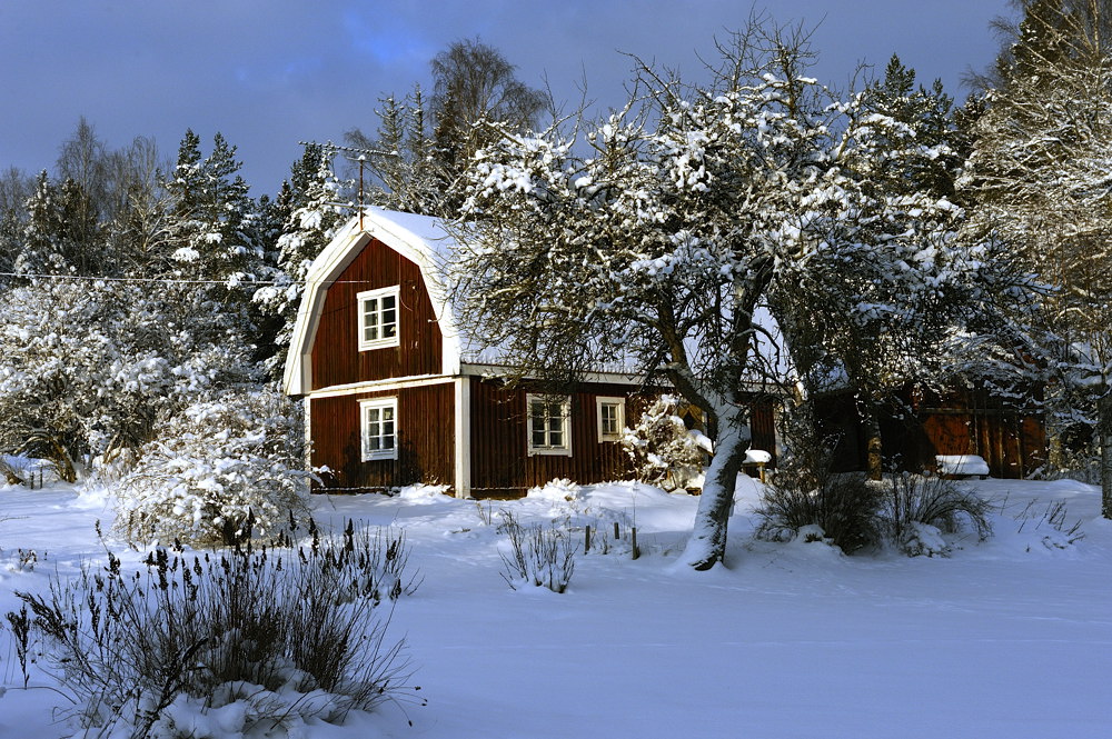 Torpet Kilen i snön 1 DSC 7717