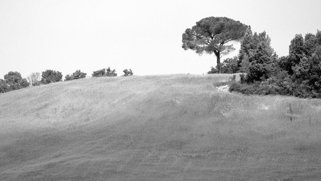 Toscana Landscape  D7K3115 IV sw NX2