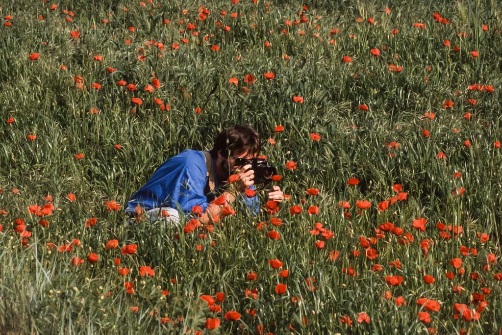 Toscana179