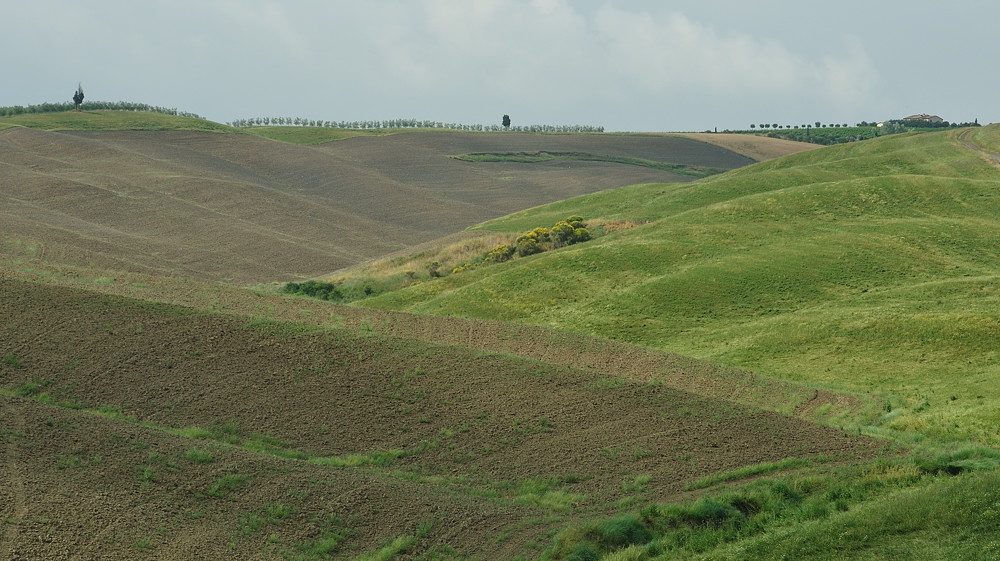 Toskana 10