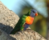 Townsville - Benutzerbild