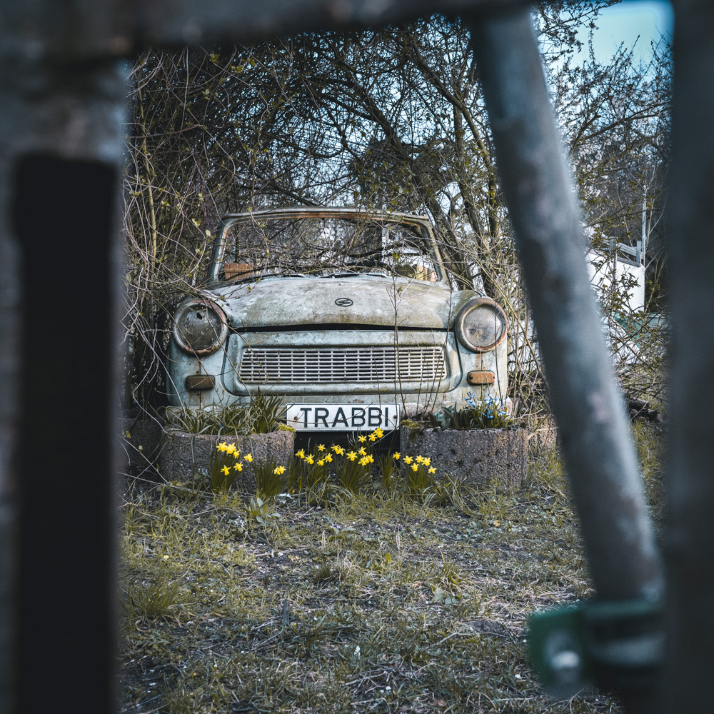 Trabbi