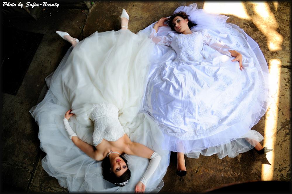 Trash The Dress