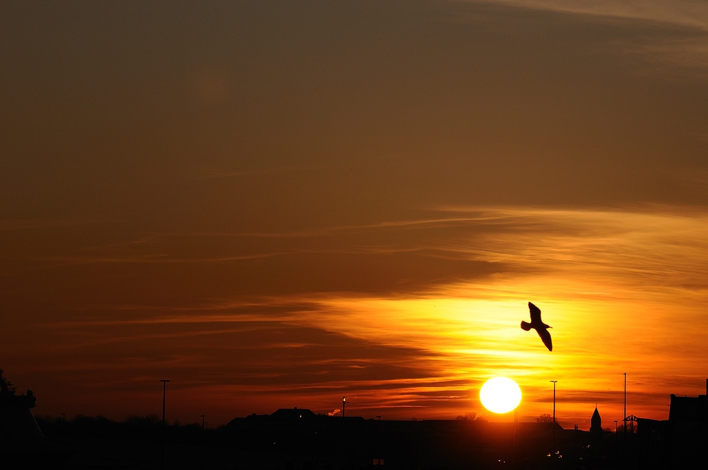 Travemünde tiefgekühlt9