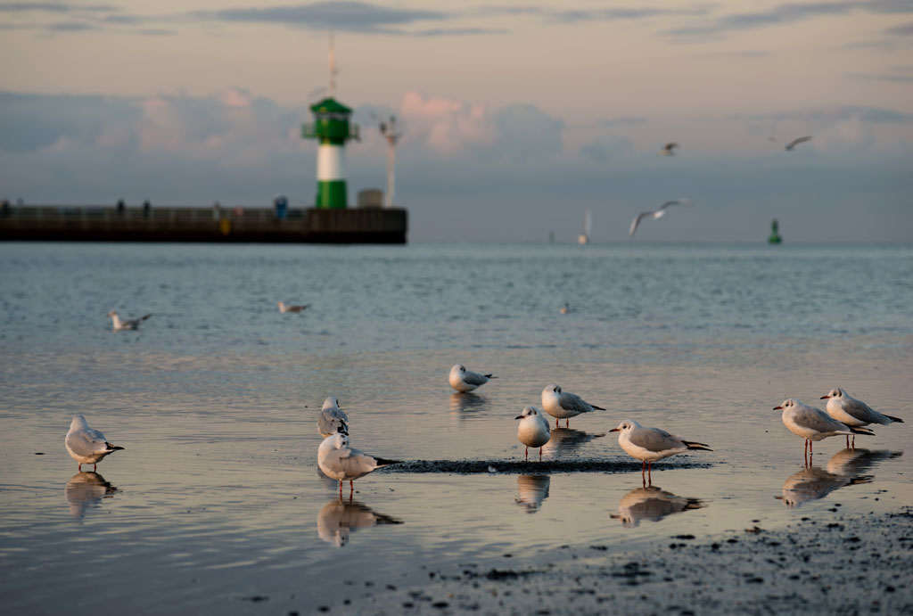 travemuende abend 1