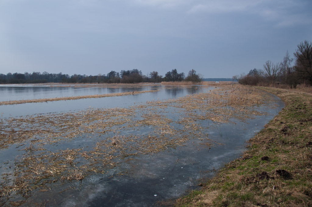 TrebelwiesenHochwasser (12 von 26)
