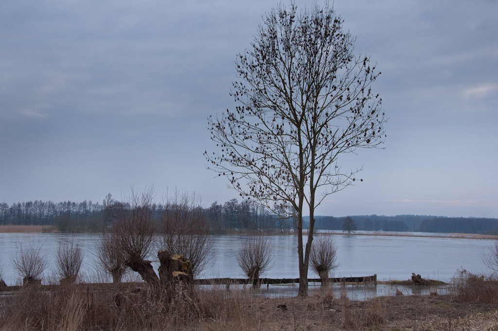 TrebelwiesenHochwasser (21 von 26)