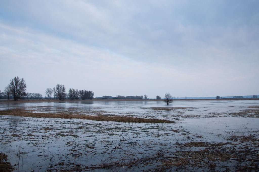 TrebelwiesenHochwasser (28 von 3)