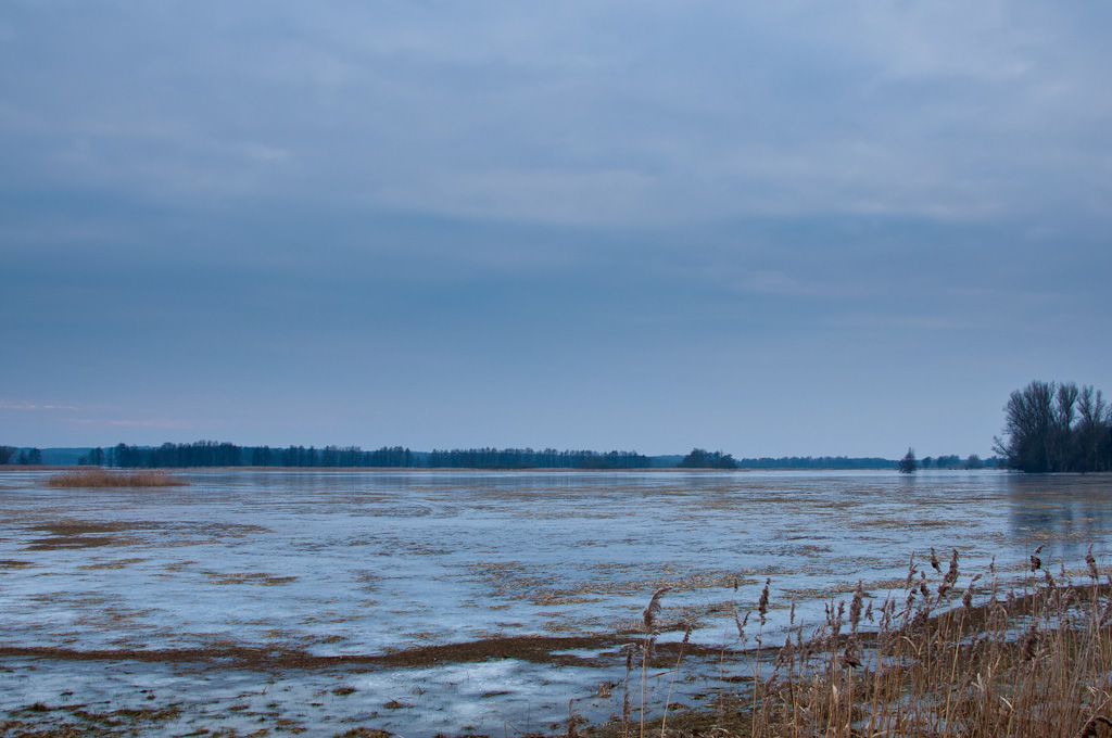 TrebelwiesenHochwasser (36 von 10)