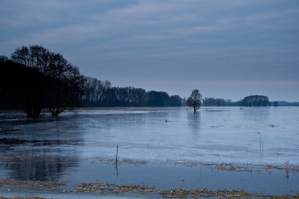 TrebelwiesenHochwasser (37 von 10)
