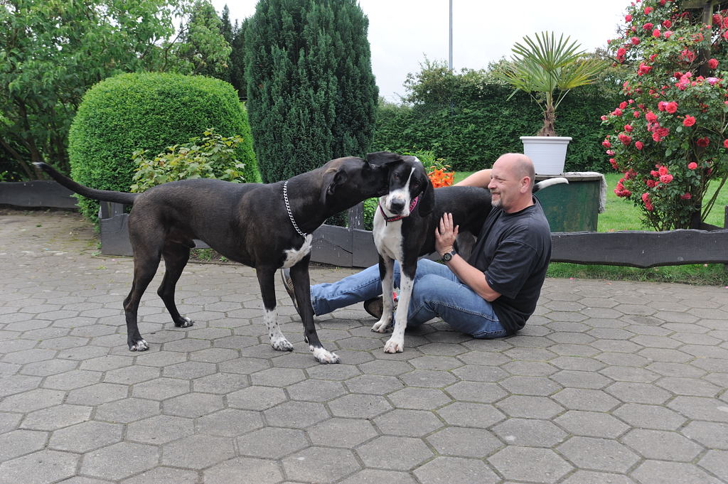 Treffen 12