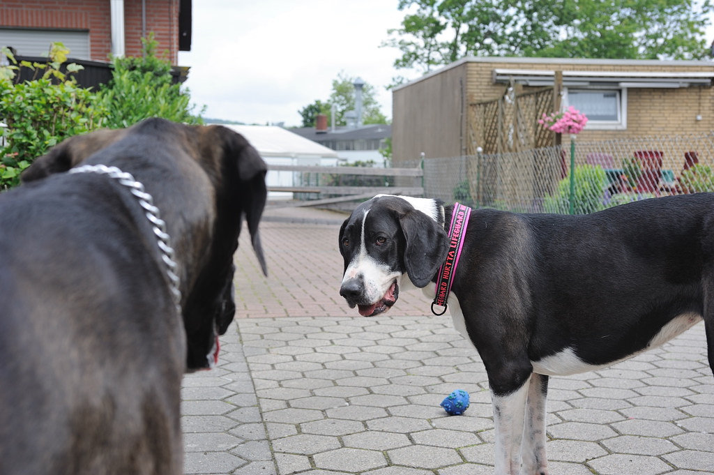 Treffen 2