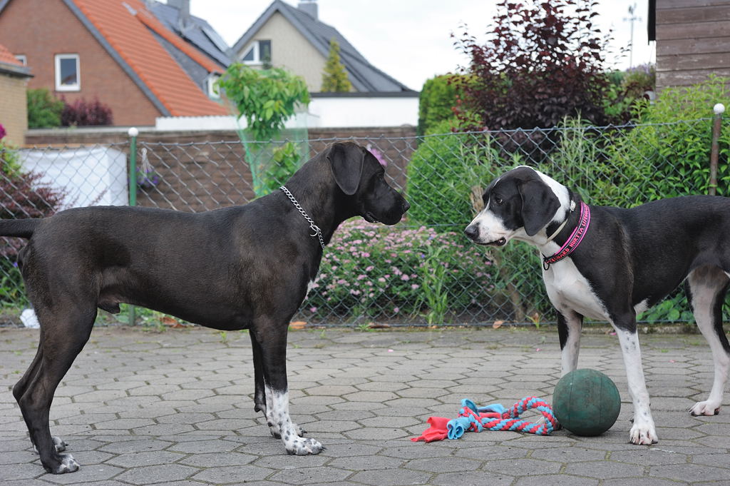 Treffen 4