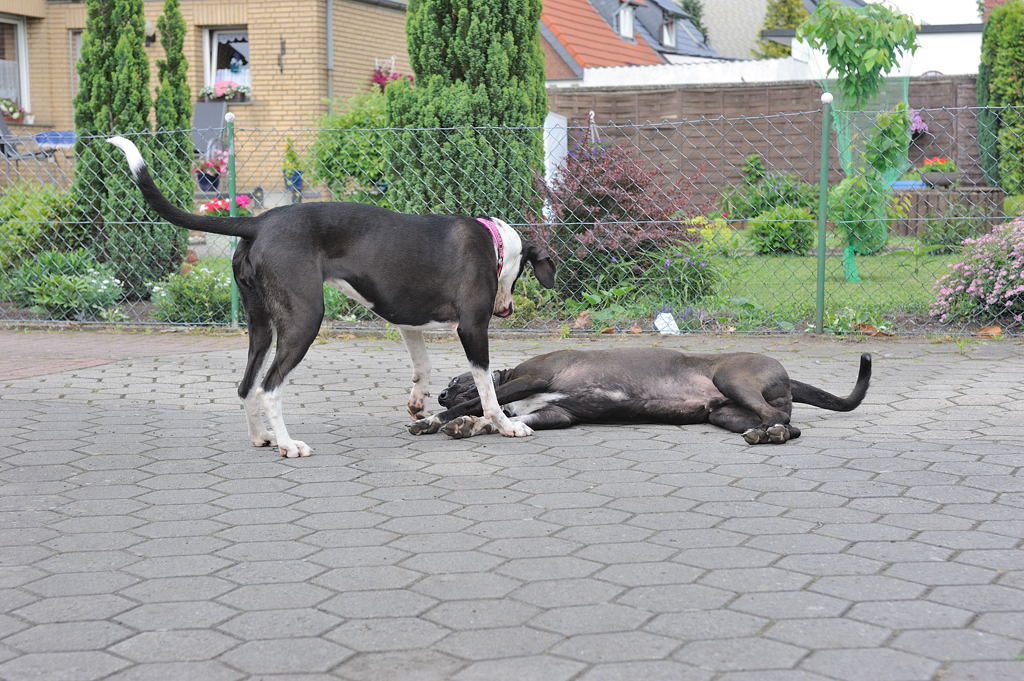 Treffen 6