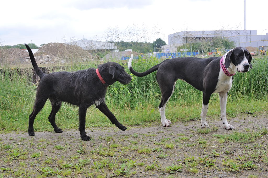 Treffen 7