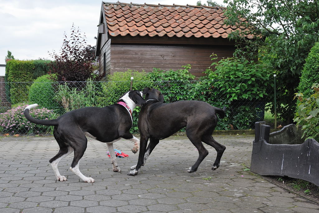 Treffen 9