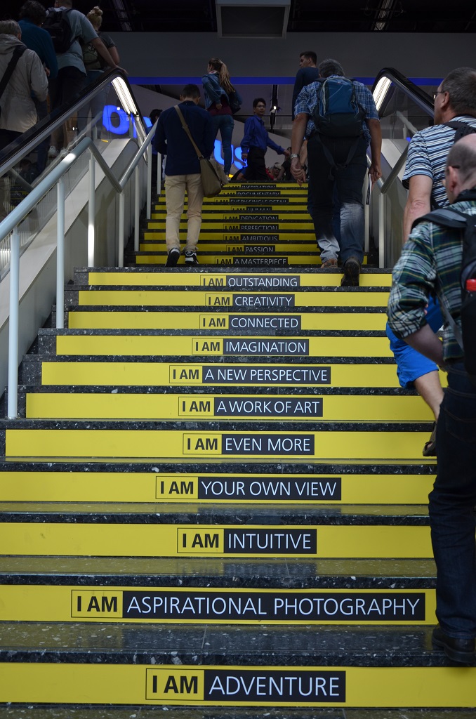 Treppe 4
