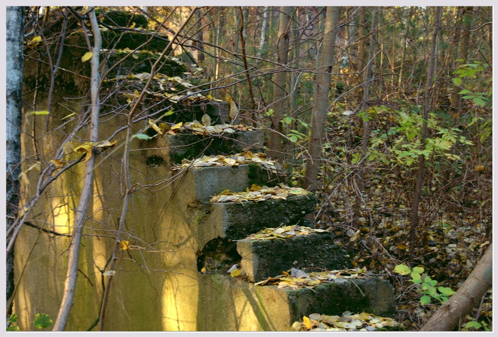 Treppe im Herbst 2