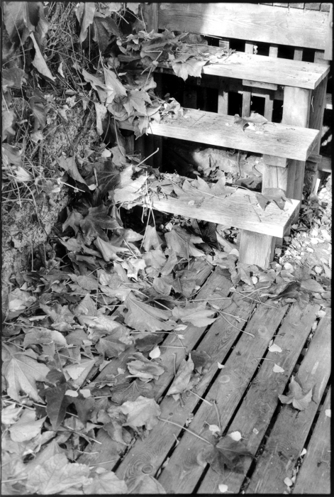 treppe