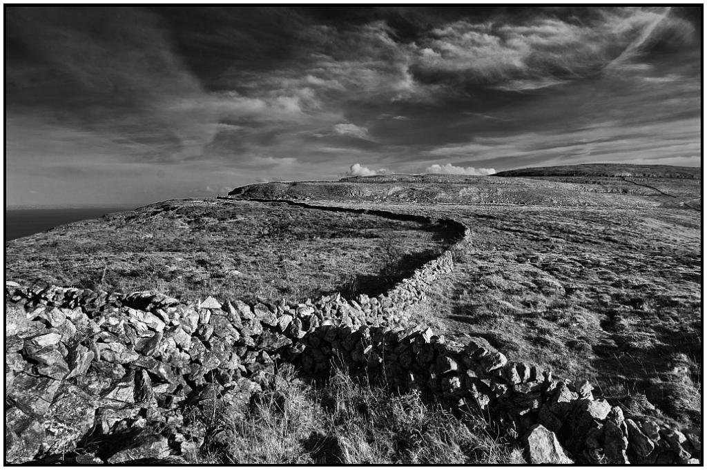 TriangleNFF