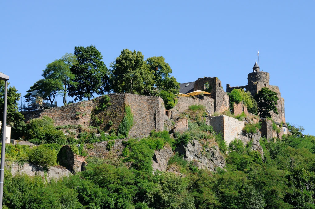 Trier 2013MOL 2788 9445