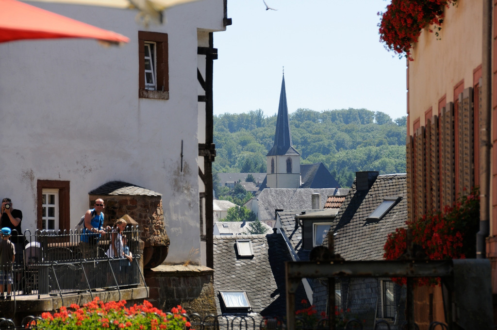 Trier 2013MOL 2818 9475