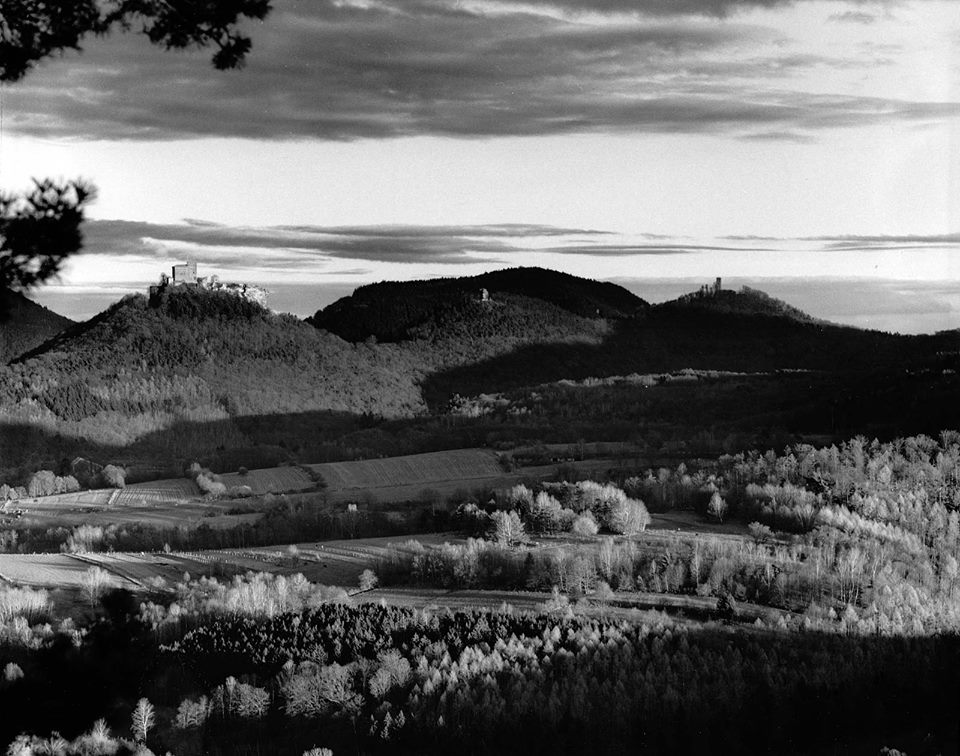 Trifelsblick2