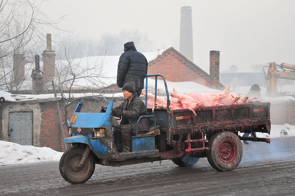 Trike in Jixi
Vom Schlachthof in die Wurstfabrik?
(8236)