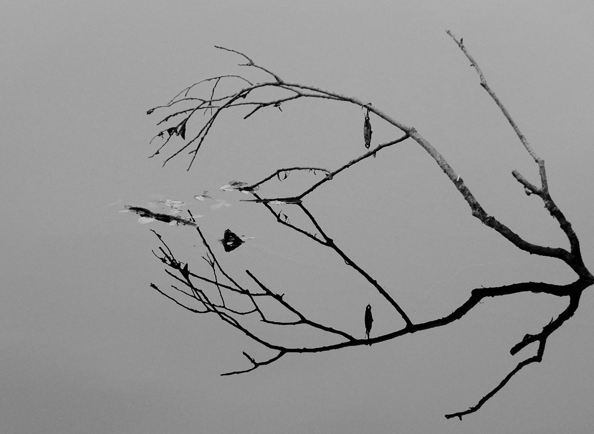 Tristesse 02